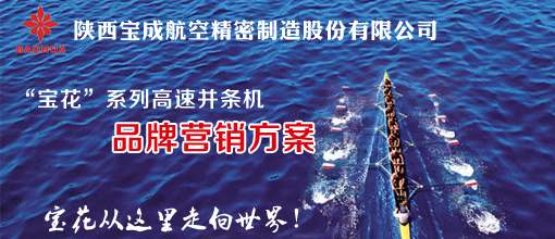 “宝花”品牌营销方案