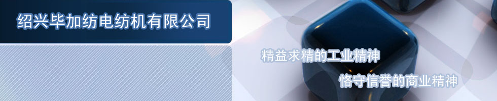 绍兴毕加纺电纺机有限公司