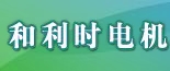 北京和利时电机技术有限公司