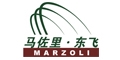 东飞马佐里纺机有限公司