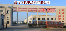 东飞马佐里纺机有限公司