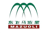 东飞马佐里纺机有限公司