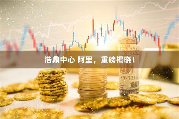 浩鼎中心 阿里，重磅揭晓！