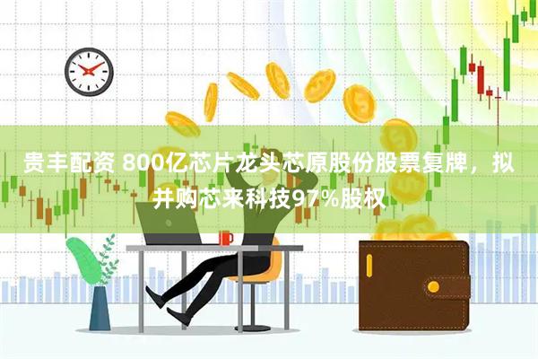 贵丰配资 800亿芯片龙头芯原股份股票复牌，拟并购芯来科技97%股权