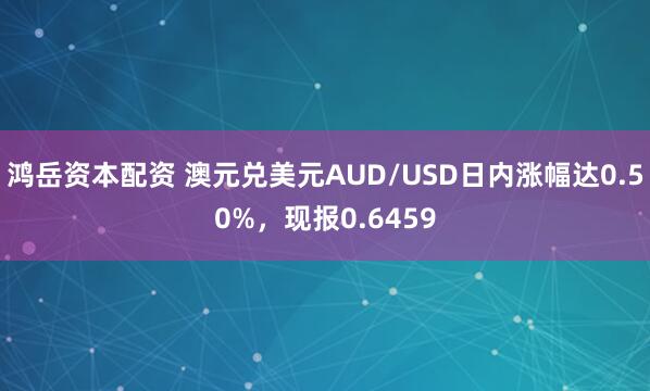 鸿岳资本配资 澳元兑美元AUD/USD日内涨幅达0.50%，现报0.6459
