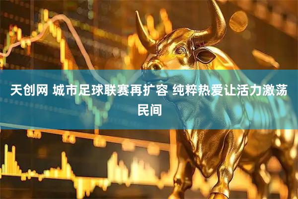 天创网 城市足球联赛再扩容 纯粹热爱让活力激荡民间