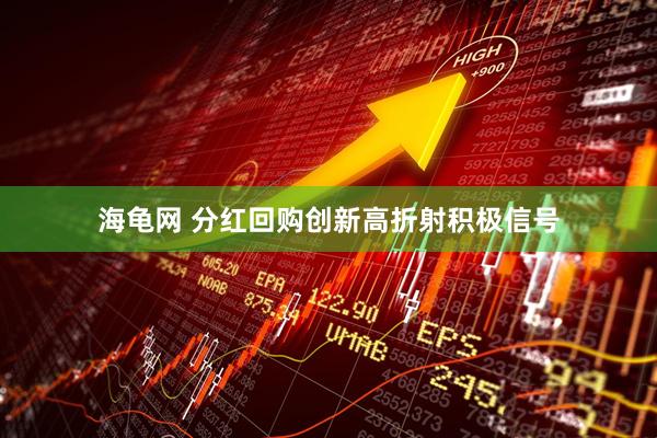 海龟网 分红回购创新高折射积极信号