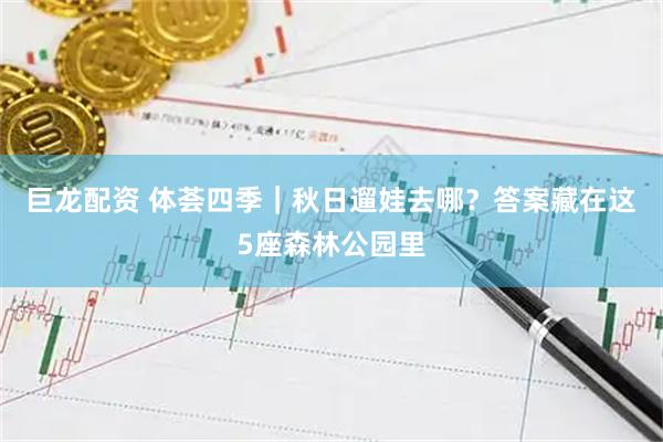 巨龙配资 体荟四季｜秋日遛娃去哪？答案藏在这5座森林公园里