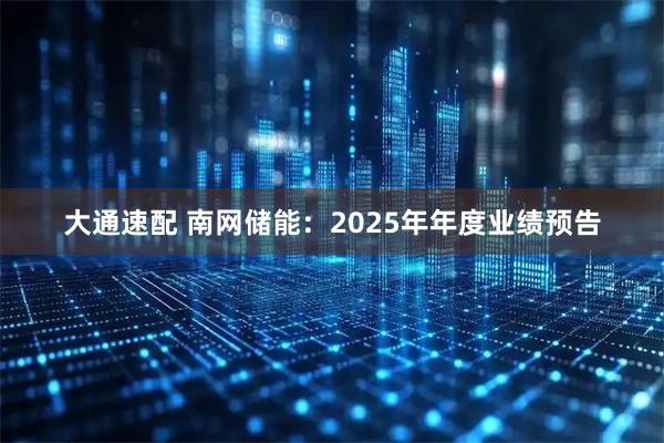 大通速配 南网储能：2025年年度业绩预告