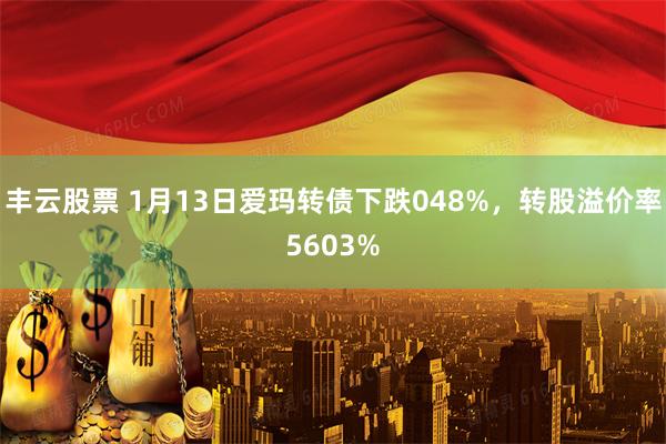 丰云股票 1月13日爱玛转债下跌048%，转股溢价率5603%