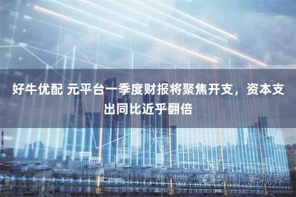 好牛优配 元平台一季度财报将聚焦开支，资本支出同比近乎翻倍